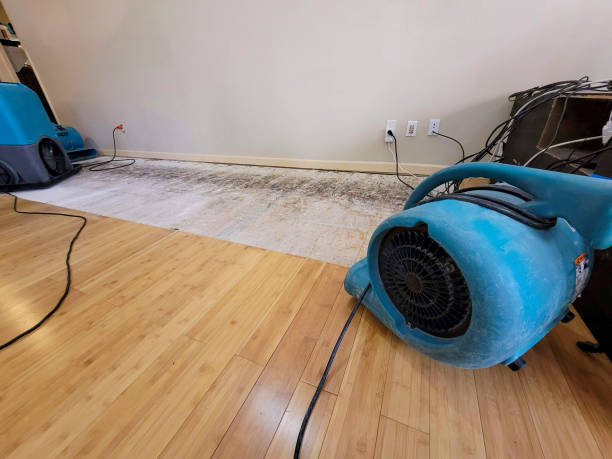 Professional Structural Drying technician working in Belcamp, MD